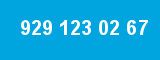929 123 02 67